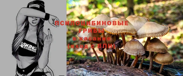 шишки Алексин