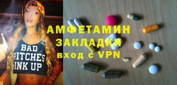 шишки Алексин