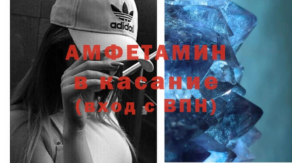 шишки Алексин