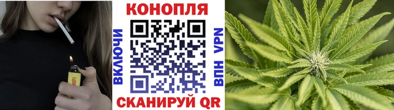 Марихуана гибрид  Починок 